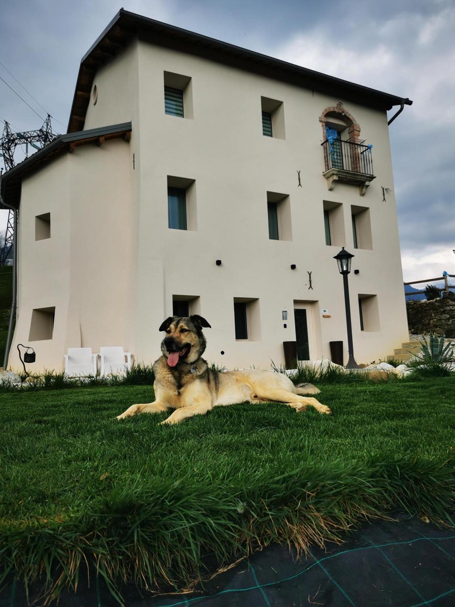 Casa Borriero Farmhouse Charme B&B Sospirolo ภายนอก รูปภาพ